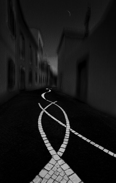 Mysterious Night Path by Molly Fu APA