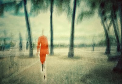 Orange Dream Walk by Molly Fu APA