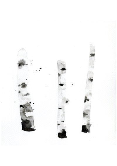 Ghost Birch by Monica Perez Vega