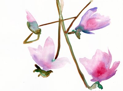 Magnolia 1, 2022 by Monica Perez Vega