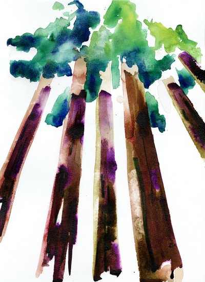 Sequoia by Monica Perez Vega