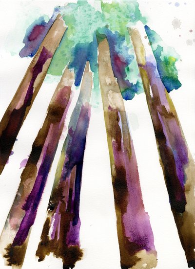 Sequoia 3 by Monica Perez Vega