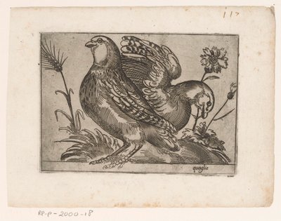 Two Quails by Monogrammist AG