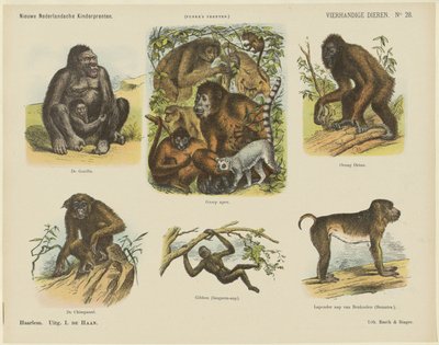 Four-Handed Animals (title on object) New Dutch Children