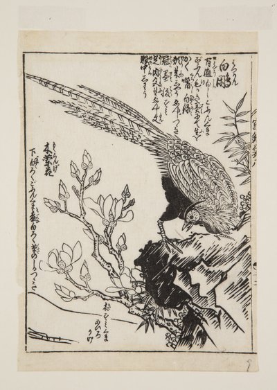 Pheasant and Magnolia by Morikuna Morikuna