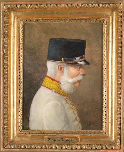 Portrait of Franz Joseph I of Austria by Moritz Ledeli