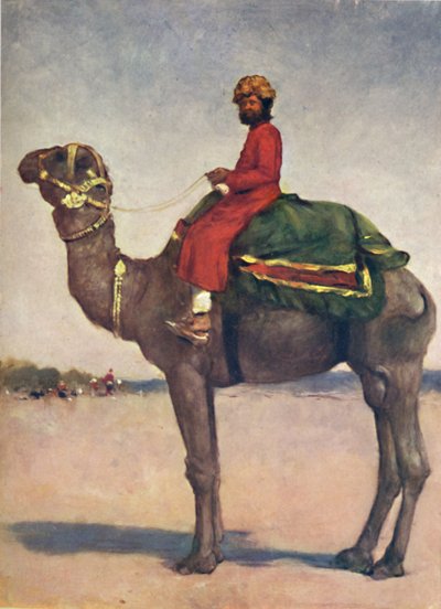 A Camel Rider from Kota, 1903 by Mortimer L Menpes