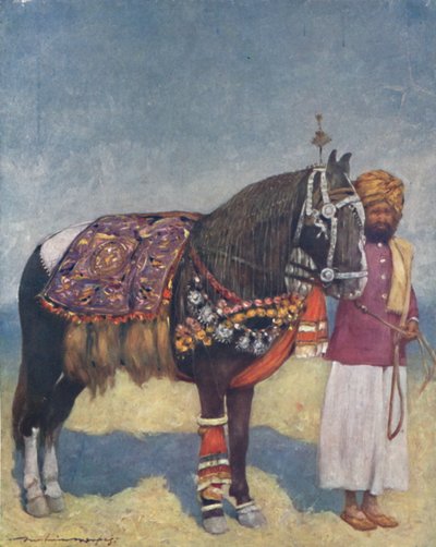 A Horse from Jodhpur by Mortimer L Menpes