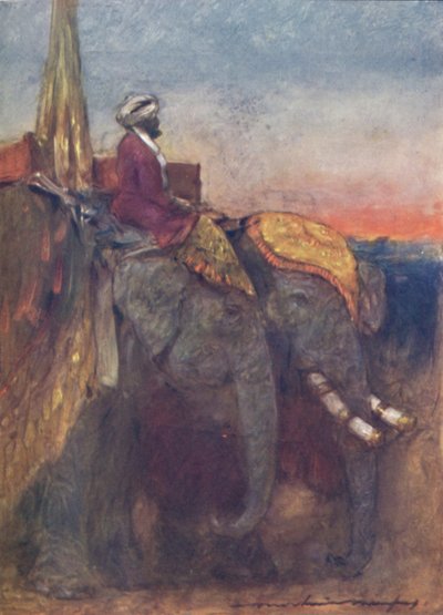 Jaipur Elephants by Mortimer L Menpes