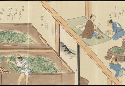 Illustrations of Uji Tea Production by Motonari Sait?