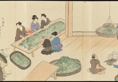 Illustrations of Uji Tea Production by Motonari Sait?