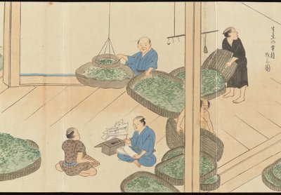 Illustrations of Uji Tea Production by Motonari Sait?