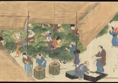 Illustrations of Uji Tea Production by Motonari Sait?