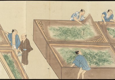 Illustrations of Uji Tea Production by Motonari Sait?