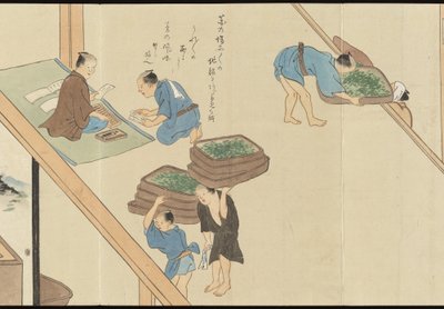 Illustrations of Uji Tea Production by Motonari Sait?
