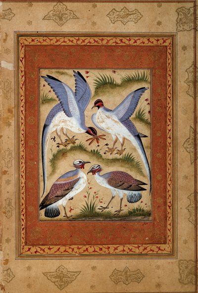 Birds. Miniature gouache from the Mughal school. 1590-1600. Paris, Guimet Museum, National Museum of Asian Arts by Mughal School