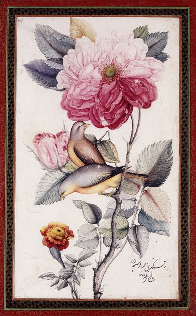 Gul-o Bulbul, c. 1849-50 by Muhammad Baqir