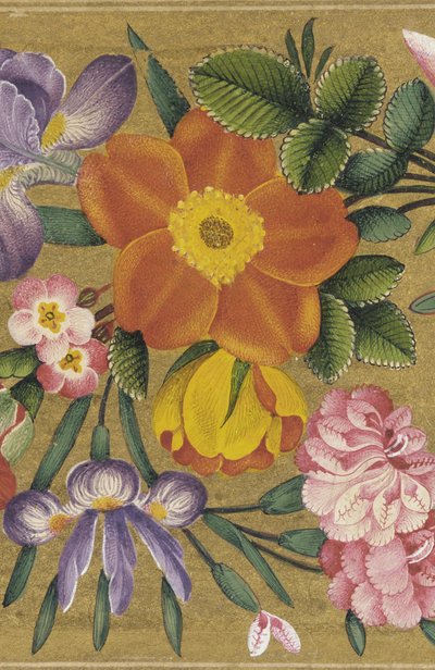 Page from the St. Petersburg Album, India, 1727 by Muhammad Sadiq