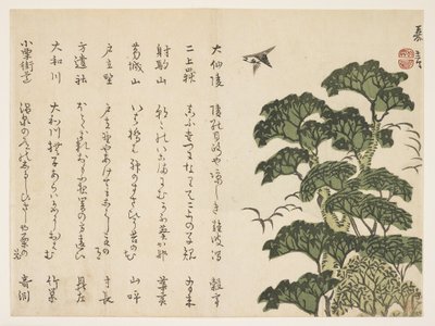 Big Tree and Birds by Murata Kagen
