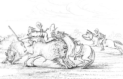Buffalo Attacking a Cowboy on a Horse by Myers and Co