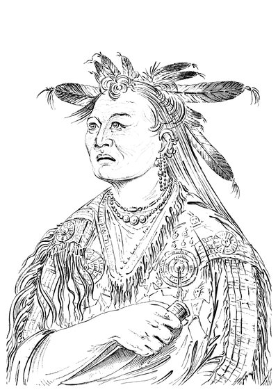 The Bloody Hand, One of the chiefs of the Riccaree tribe by Myers and Co