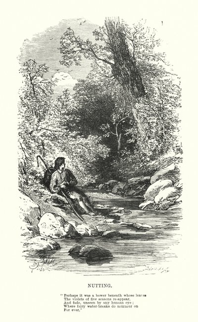 William Wordsworth: Nutting by Myles Birket (after) Foster
