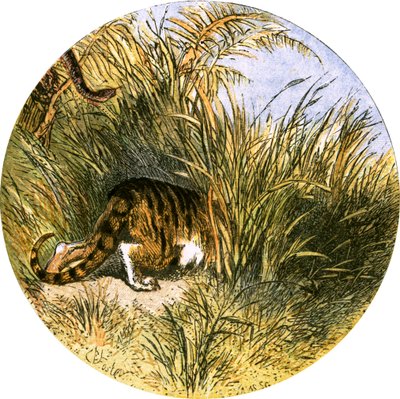 Illustration for 