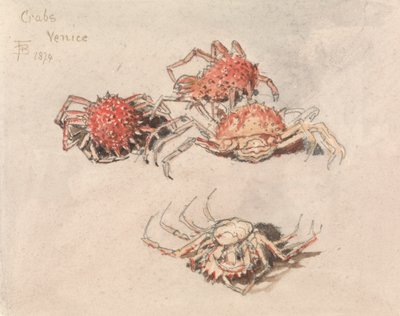Studies of Spider Crabs, Venice by Myles Birket Foster