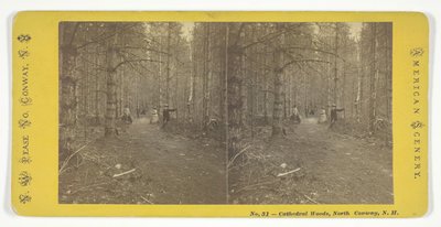 Cathedral Woods, North Conway, N.H. by N.W. Pease