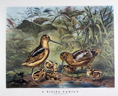 A Family Rising. By Arthur Tait. 1857 by N. and Ives J.M. (1824 95) Currier