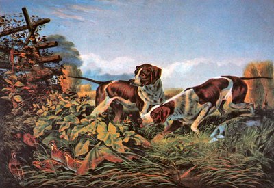American Field Sports: On a Point by Currier and Ives