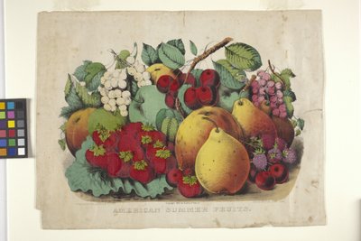 American Summer Fruit by N. and Ives J.M. (1824 95) Currier