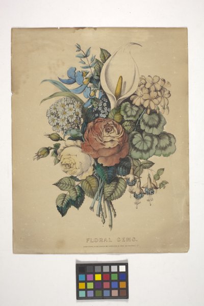 Floral Gems by N. and Ives J.M. (1824 95) Currier