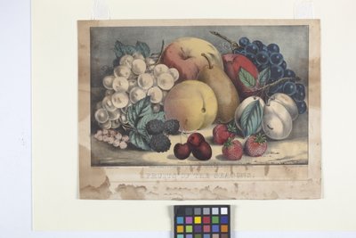 Fruits Of The Season by N. and Ives J.M. (1824 95) Currier