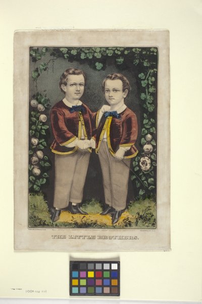 Little Brothers by N. and Ives J.M. (1824 95) Currier