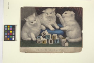 My Three White Kittens by N. and Ives J.M. (1824 95) Currier