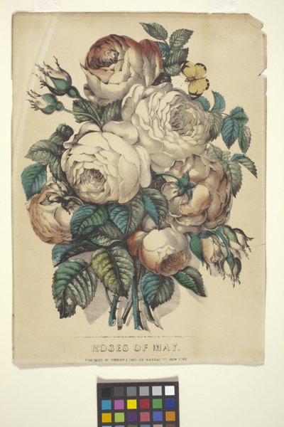 Roses Of May by N. and Ives J.M. (1824 95) Currier
