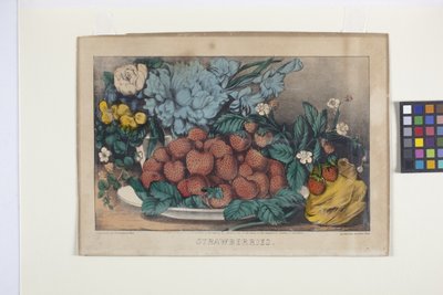 Strawberries by N. and Ives J.M. (1824 95) Currier