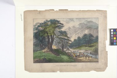 The Cedars of Lebanon by N. and Ives J.M. (1824 95) Currier