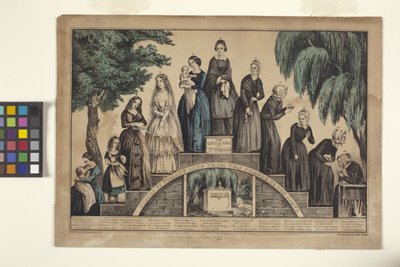 The Life & Age Of Woman: Stages Of Woman