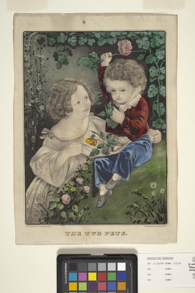 The Two Pets by N. and Ives J.M. (1824 95) Currier