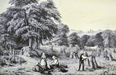 Harvest by N. and Ives, J.M. Currier