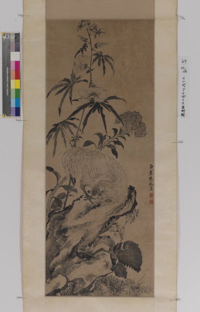 Rooster On Rock, Among Flowers by Naiqi Zhang