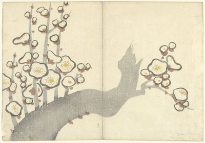 Plum Blossom by Nakamura Hochu