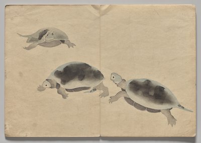Scene from The Kōrin Picture Book (Volume 2) by Nakamura Hochu
