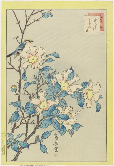 Blue Bird and Pink Flowers, 1859 by Nakayama Sugakudo