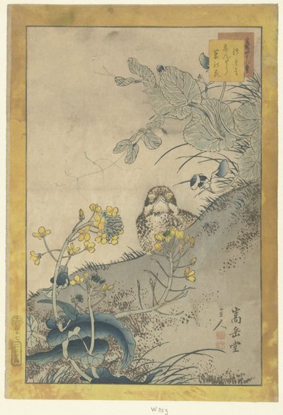 Young Thrush, Blooming Pea and Rapeseed (Forty-Eight Sketches) by Nakayama Sugakudo