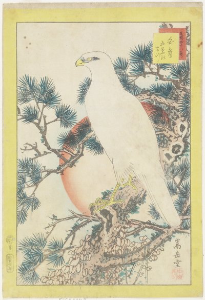 No. 1, White Falcon and Five-Needled Pine, 1859 by Nakayama Sugakudo
