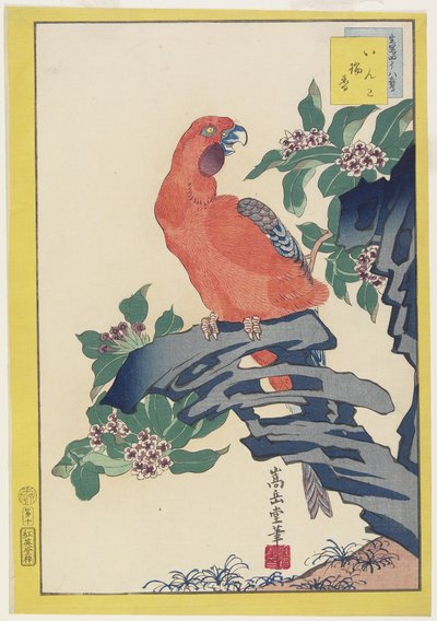 Pink Parrot on Rock, 1859 by Nakayama Sugakudo