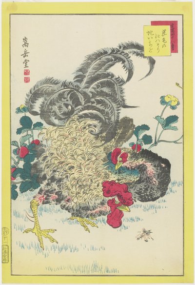 Rooster and Raspberries, June 1859 by Nakayama Sugakudo